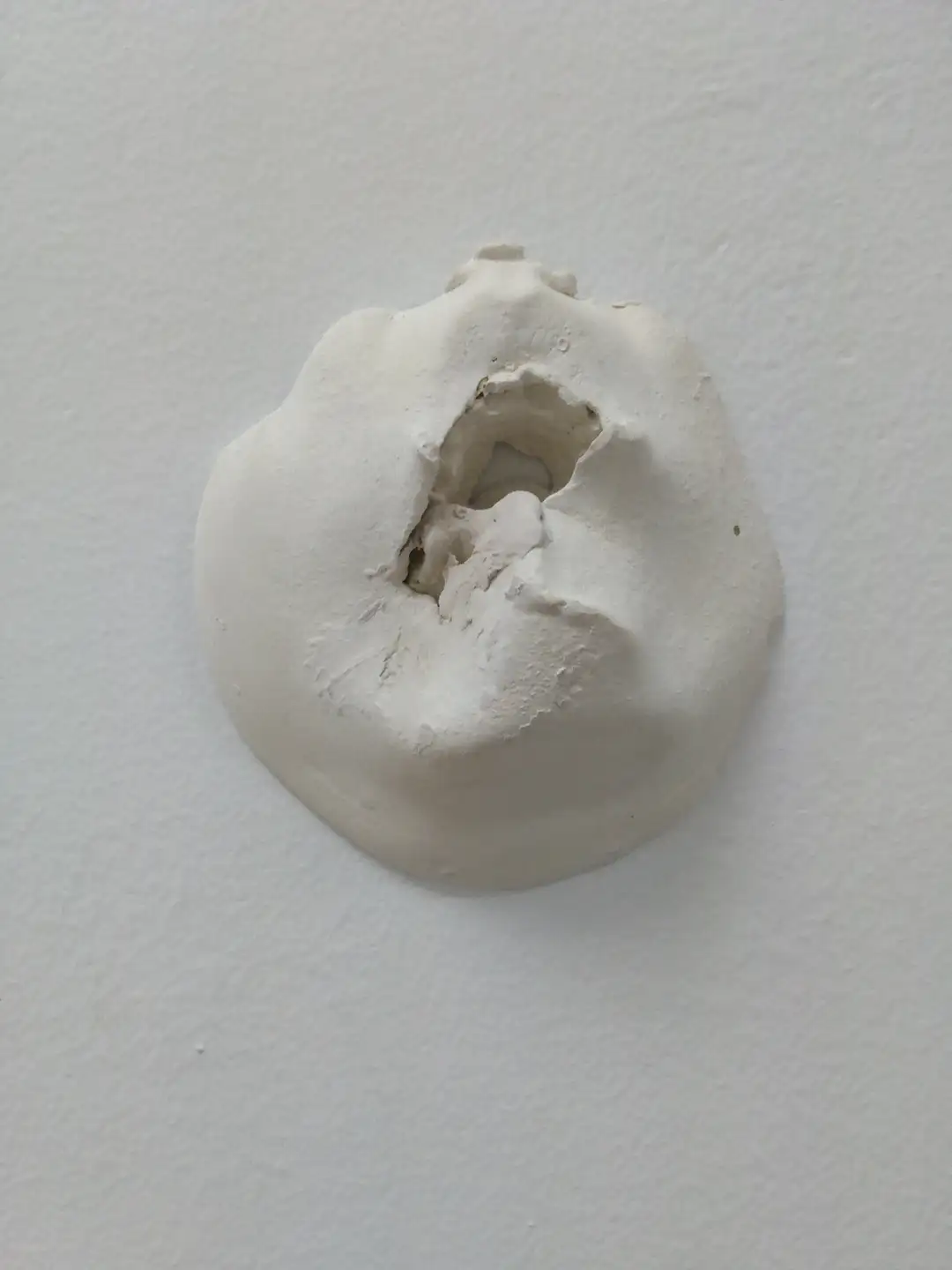 AN_1_Bocaverdad 2