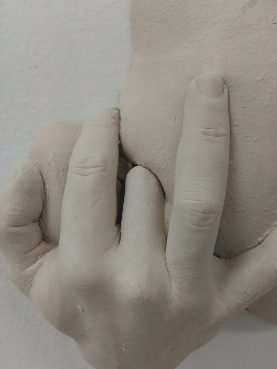 AN_40_Culodedo (4)
