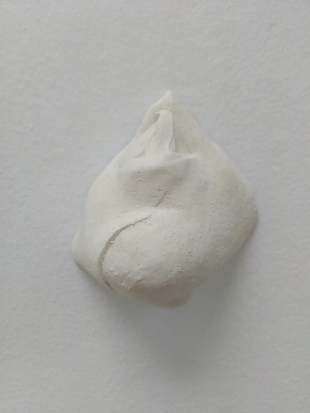 AN_5_Bocagota 1