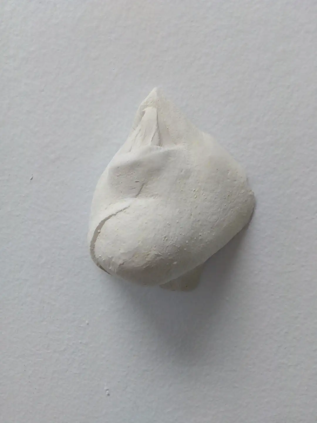AN_5_Bocagota 3