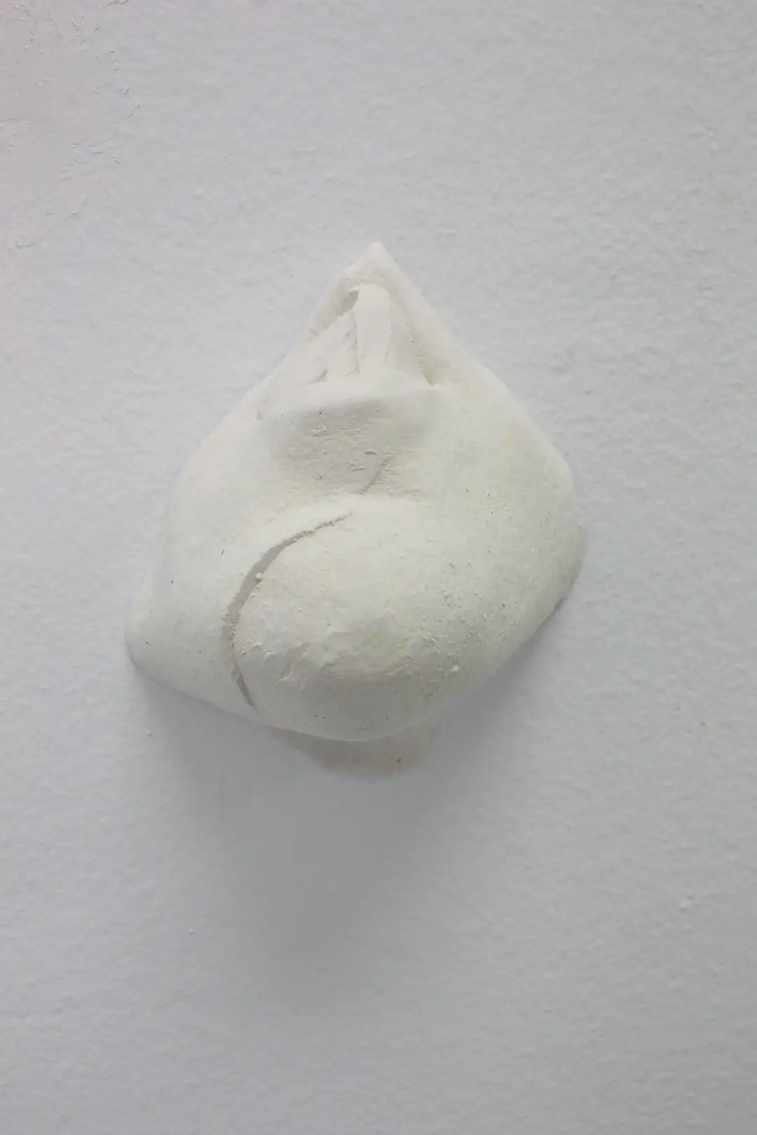 AN_5_Bocagota 4