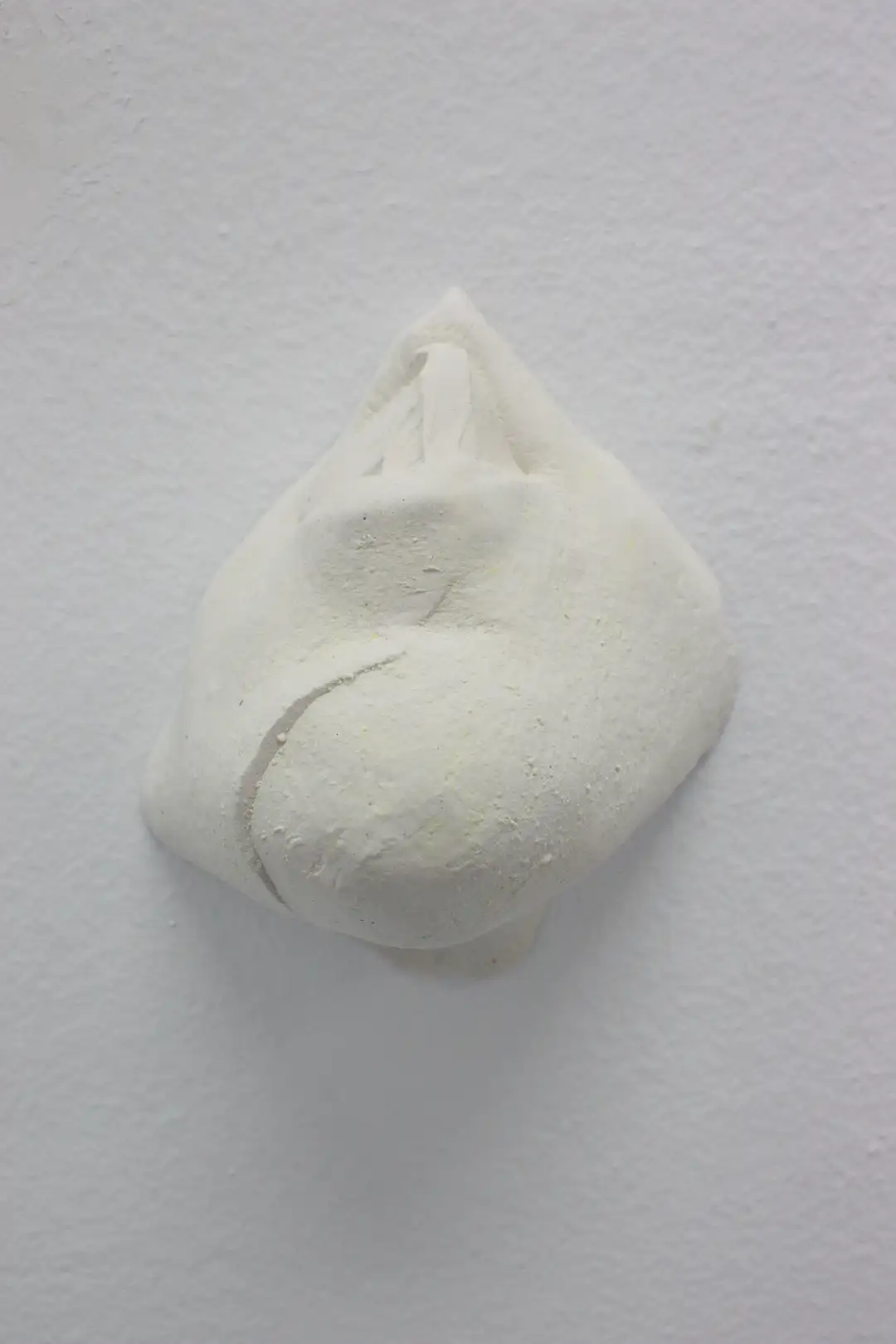 AN_5_Bocagota 5